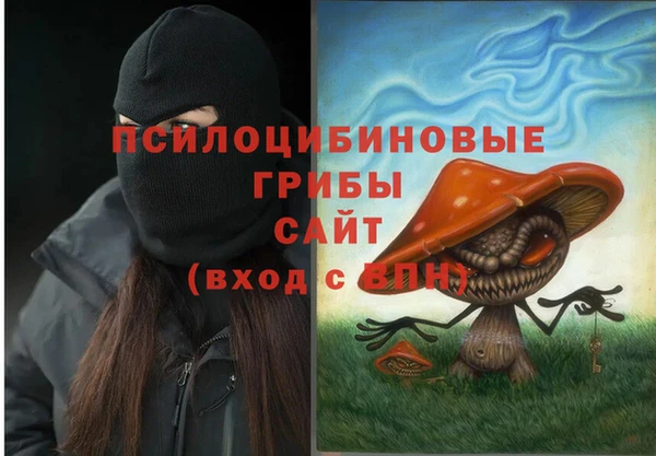 тгк Алексин