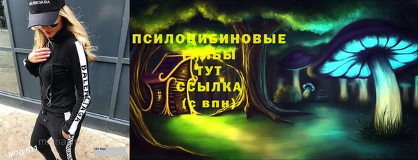 тгк Алексин